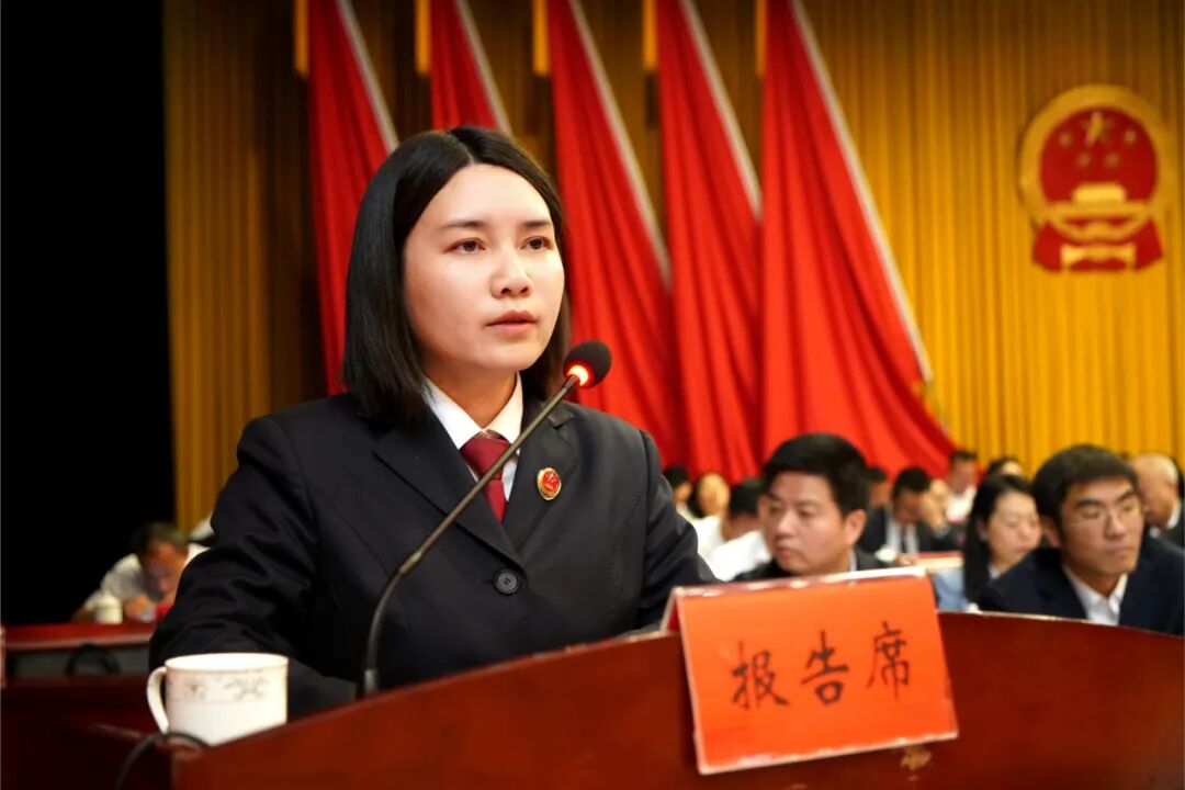 谭洋文在衡阳县十八届人民代表大会第六次会议上作检察工作报告